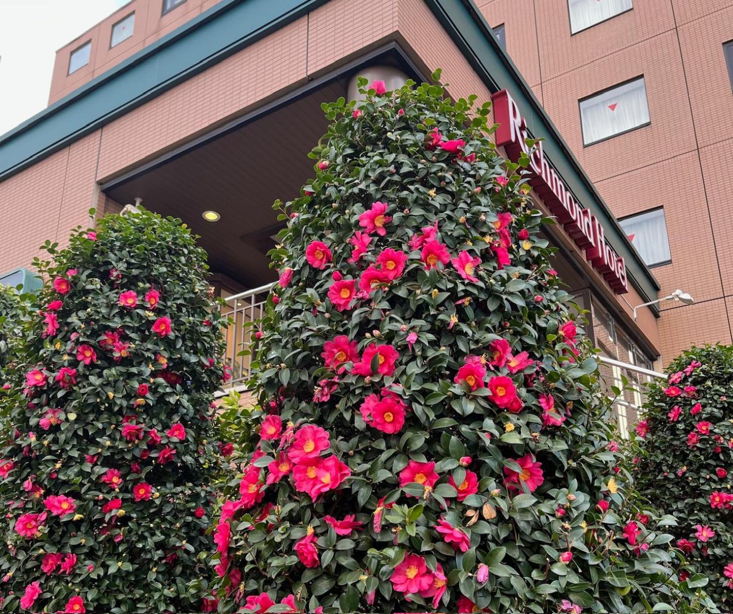 Richmond Hotel Tokyo Musashino Eksteriør bilde